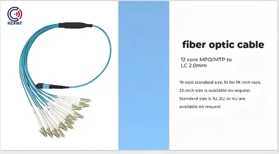 Kexint 50 M 144b Sm 12xmpo 12 (MALE) APC MPO Patch Cord